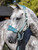 LeMieux Vogue Headcollar & Leadrope - Sage