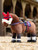 LeMieux Toy Pony Racing Bridle - Black