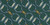 Essex Classics Luna Performance Long Sleeve Show Shirt - Stirrups Sage Green