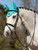 LeMieux Loire Fly Hood - Azure