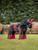 LeMieux Toy Pony Fly Hood - Chilli