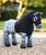 LeMieux Toy Pony Stretch Hood - Black