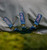 Amigo Bravo 12 Plus 0g Lite Turnout Sheet - Shadow/Navy Rose