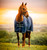 Amigo Ripstop 900D Turnout 100g - Whitney Navy