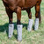 Cashel Crusader Fly Leg Guards - Set of 4