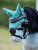 LeMieux Toy Pony Fly Hood - Lagoon