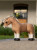 LeMieux Toy Pony - Oskar
