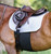 EquiFit Belly Band Plus - Black