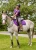 Kerrits Close Contact Saddle Pad - Purple