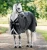 Rambo 1680D Turnout 0g - Black/Thunderstorm