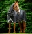 Rambo 1680D Turnout 100g Plus - Black/Thunderstorm