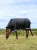 LeMieux Arika Storm-Tek Turnout Rug 100g - Black
