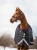LeMieux Kudos Turnout Rug 350g Heavy - Navy