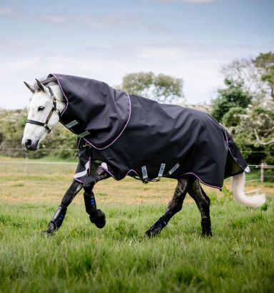 Chestnut Bay Trailblazer Pullover - Black - Do Trot In Tack Shop