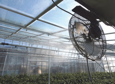 Greenhouse__14063.1649103161.