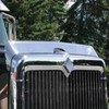 Stainless Steel Bug Deflector For International 9900