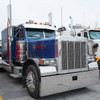 Emblem Push-On Nut For Peterbilt