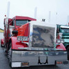 Peterbilt 359 Stainless Steel Grille Screen Replaces 13-03363 By BESTfit