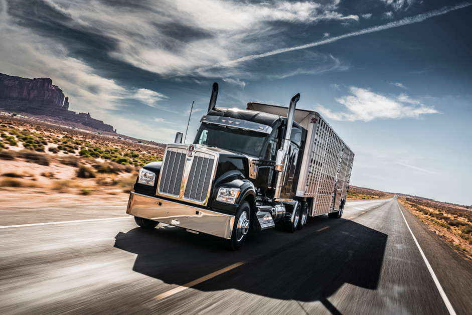 How to Choose the Right W990 Drop Visor