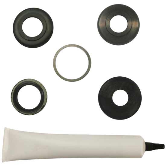Steering Input Seal Kit - 2502017C91 - 4 State Trucks