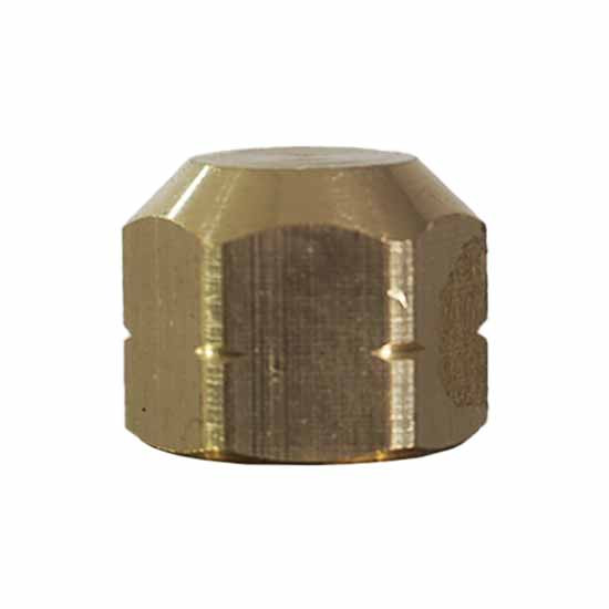 1/4 Inch Brass Pipe Cap- Hex