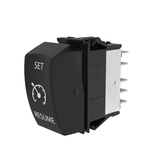 Cruise Set Switch Replaces 8961K1906, P27104015