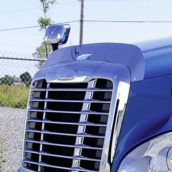 Stainless Steel Bug Shield For Freightliner Cascadia