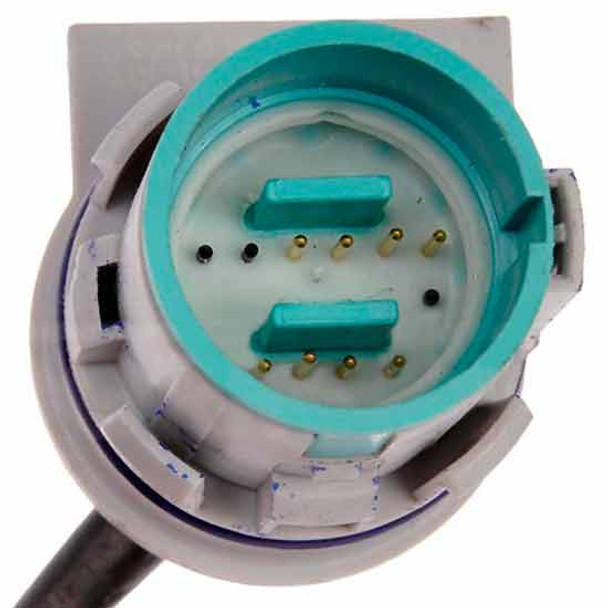 Injector Wiring Harness For International