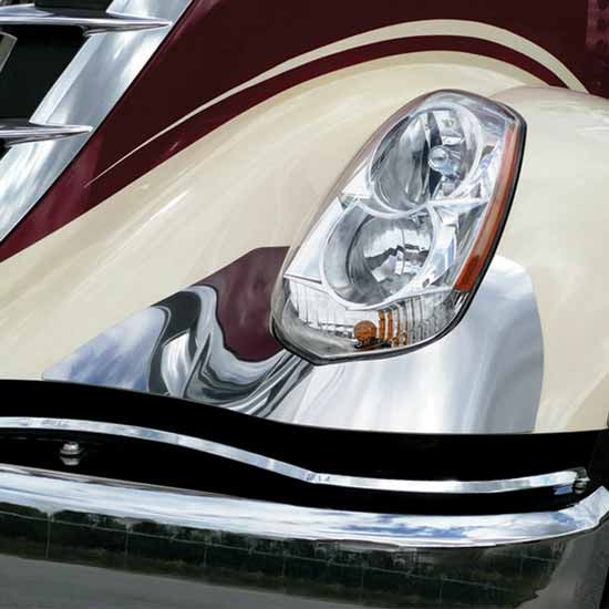 Stainless Steel Fender Shields For International LoneStar