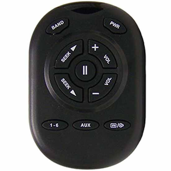 Delphi Handheld Remote Control