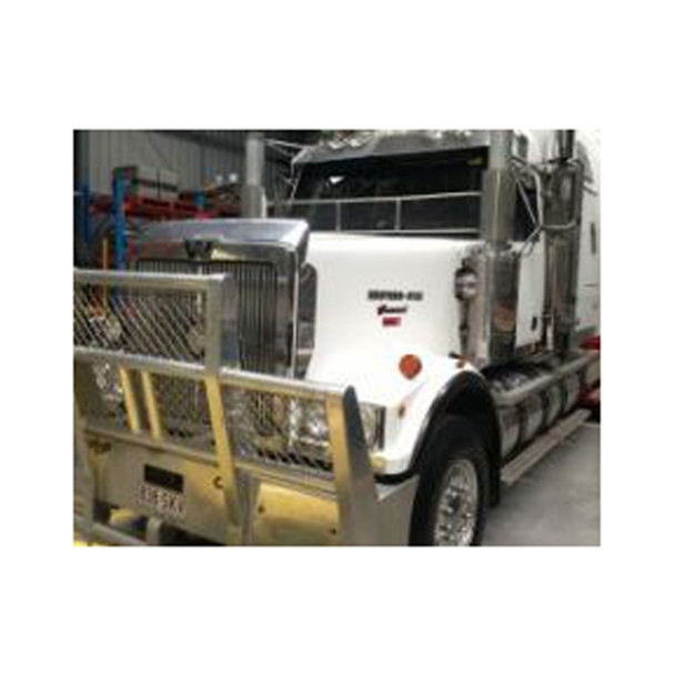 Stainless Steel Bug Shield For Western Star 4964 Constellation