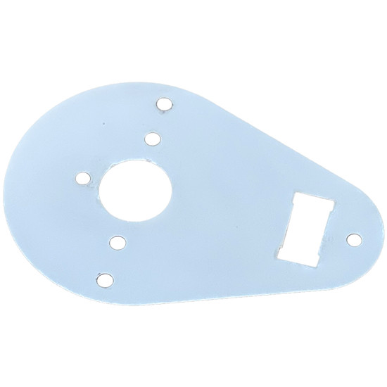 Turnpike Truck Trim 304 SS Teardrop Interior Dome Light Plate W/ Switch And Watermelon Light Hole For Kenworth T600, T800, W900L