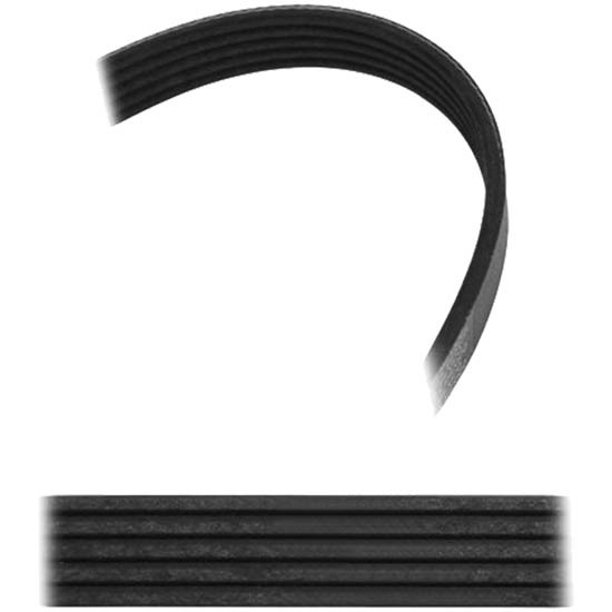 Poly-V Ribbed Serpentine Belt - 56.50 Inch Replaces 4050565