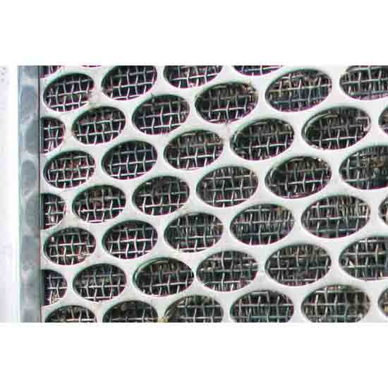 Custom SS Grille Insert With Oval Holes For Peterbilt 379 127 BBC
