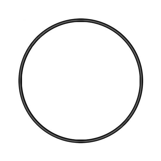 O-Ring Seal Replaces A017-997-74-45, A0179977445 For Detroit Diesel