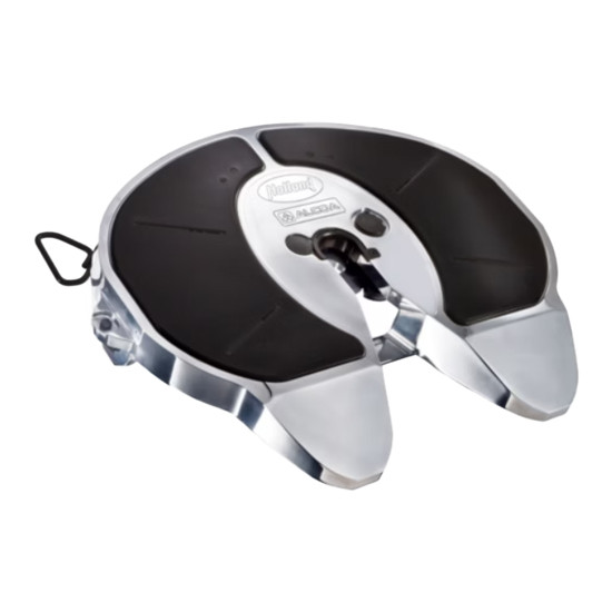 Polished Aluminum Fifth Wheel Top - Alcoa Holland