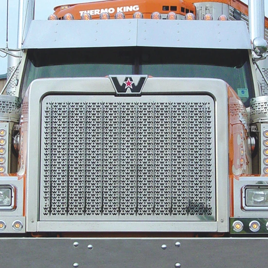 Roadworks Stainless Steel Punched Grille Insert W/ Cutout Options For Western Star 4900EX LowMax