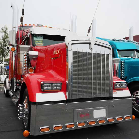 Stainless Steel Bug Shield, 43 Inch For Kenworth W900L, W900L Aerocab