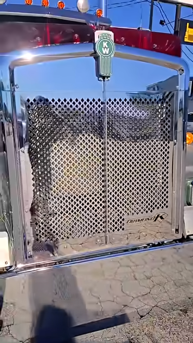 Kenworth W900 truck with custom 14-gauge 304 stainless steel grille fabricated by 4 State Trucks for Justin Kropf