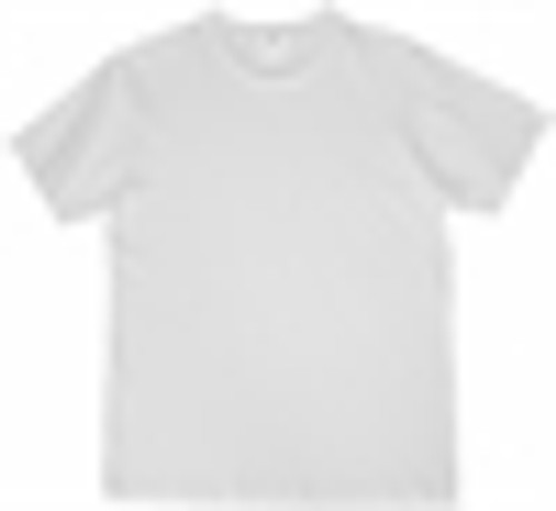 QUOZ Wave Tee T-24-UPG Wholesale Blank Clothing Plain Shirts Australia