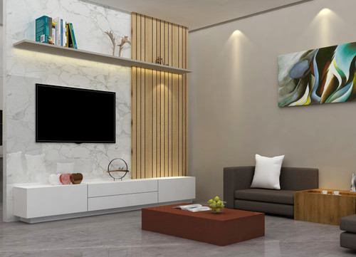 Miami TV Entertainment Unit( FREE FREIGHT)