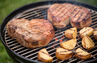 Portable barbecue friendly recipes