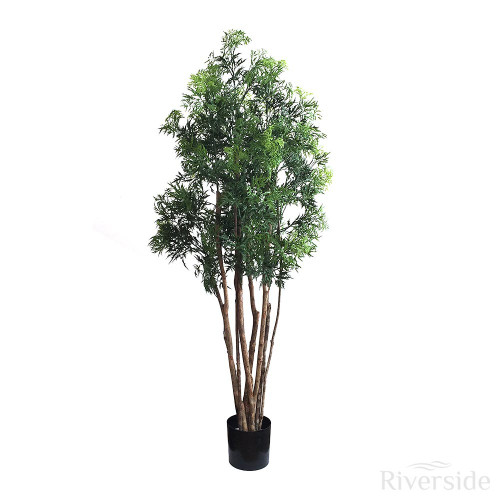 Artificial Plastic Aralia Tree, 5ft