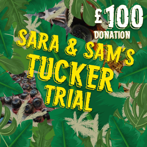 Sponsor Sara and Sam's Tucker Trial