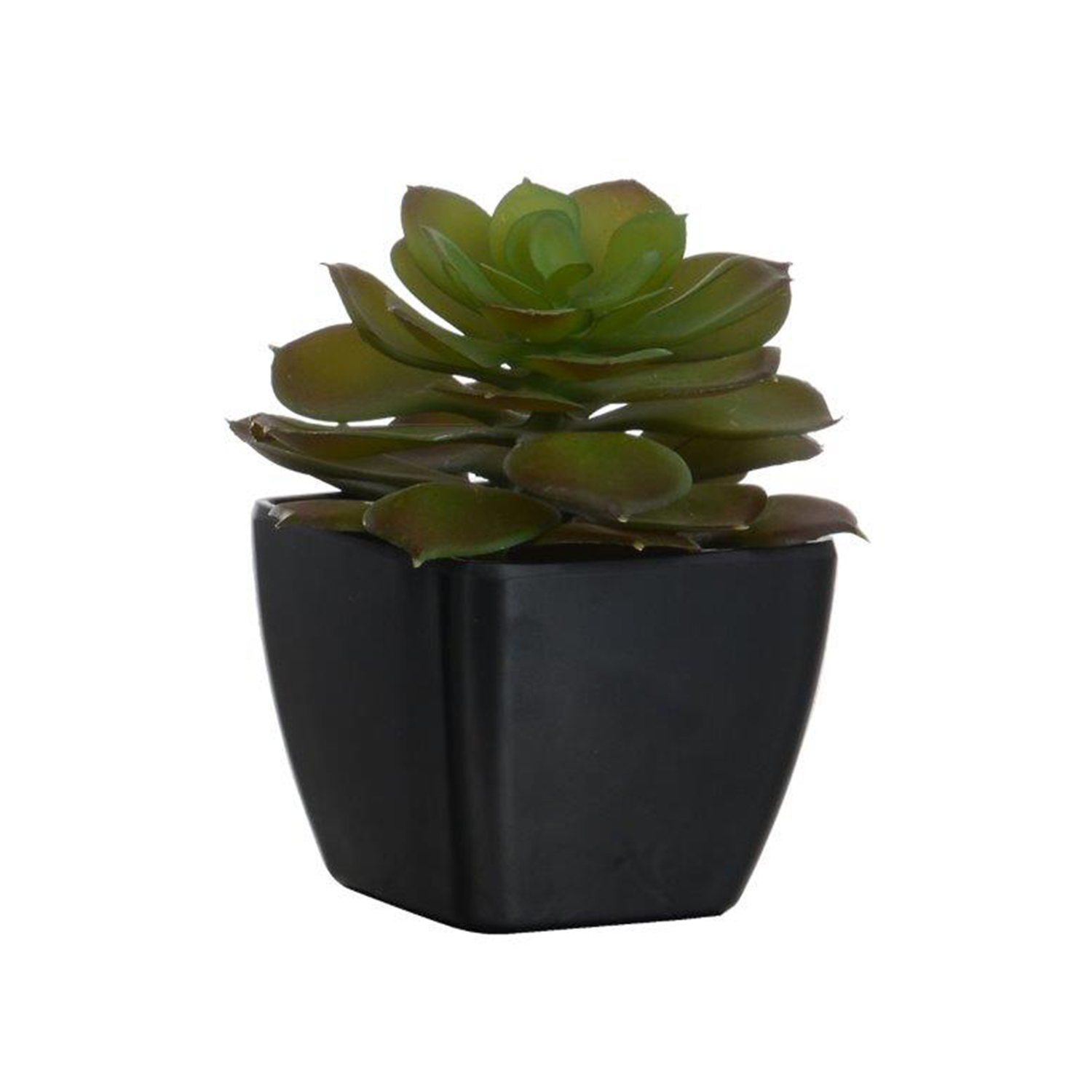 Artificial Potted Succulent 11cm, Black Pot