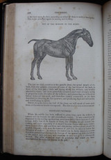 HISTORY, TREATMENT, AND DISEASES OF THE HORSE - 1853