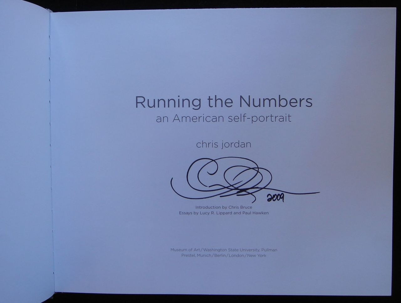RUNNING THE NUMBERS: AN AMERICAN SELF-PORTRAIT, by Chris Jordan
