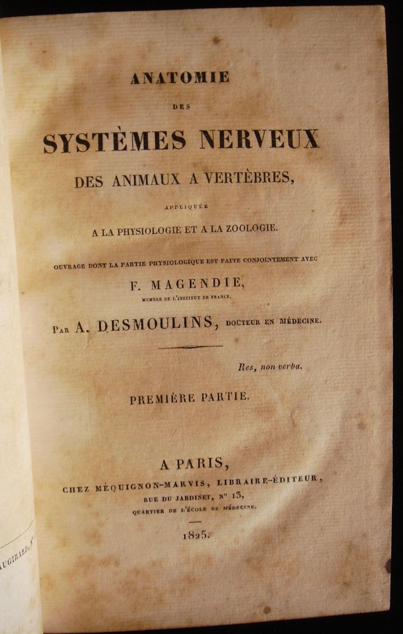 ANATOMIE DES SYSTEMES NERVEUX, Desmoulins