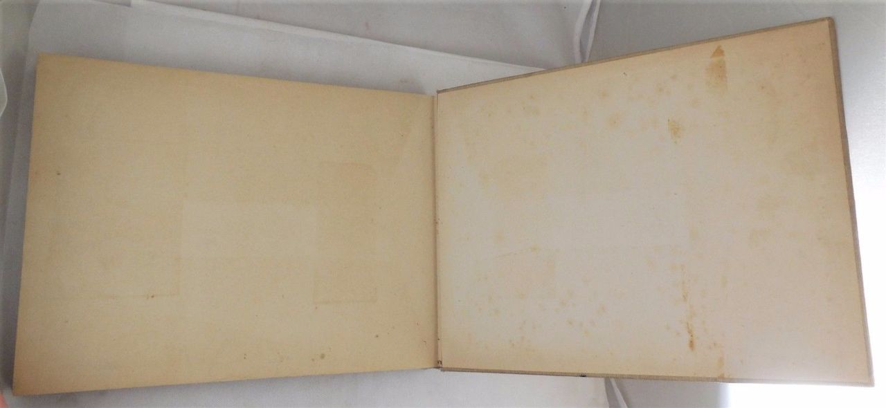 Atkinson Sign Painting 1909 1st Ed Panoply Books