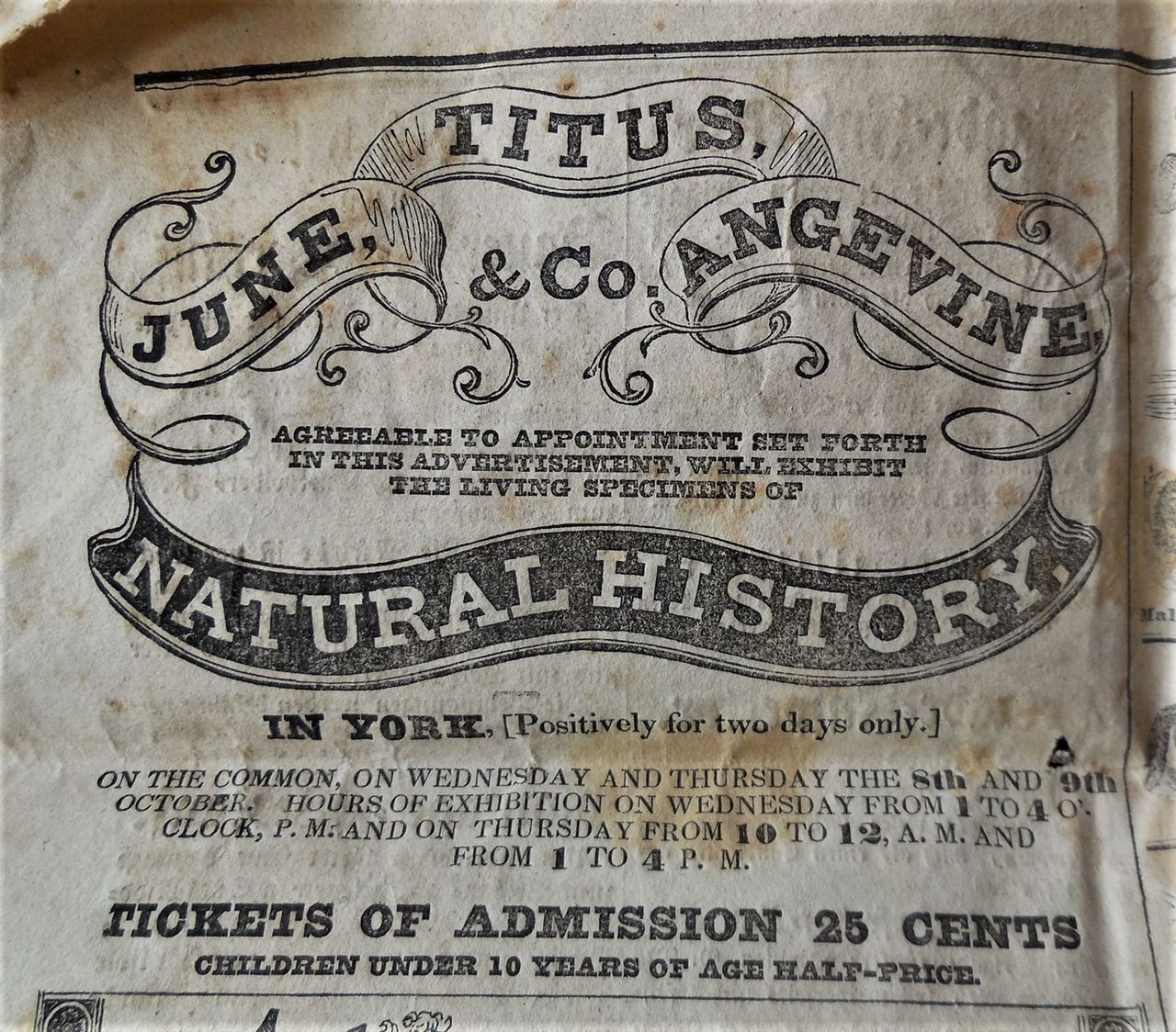 JUNE, TITUS ANGEVINE & CO, Circus Ad - 1834
